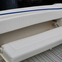 Jupiter 38 fly