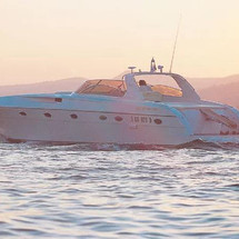 Rizzardi 50 Top Line