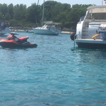 Rizzardi 50 Top Line