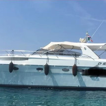 Rizzardi 50 Top Line