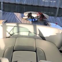 MB Sports Tomcat F22