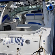 Sea ray sundancer