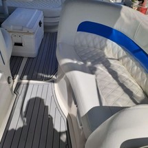 Sea ray sundancer