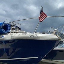 Sea ray sundancer