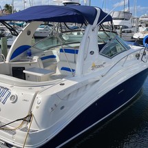 Sea ray sundancer