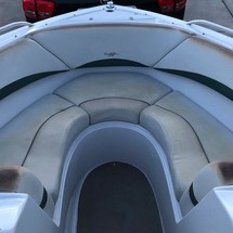 Four winns 220 horizon