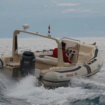 Barracuda 590