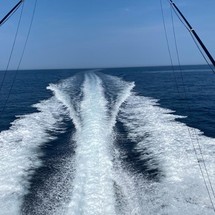 Boston Whaler 350 Outrage