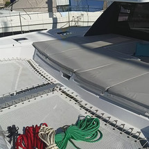 Leopard 50