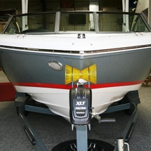 Cobalt 220S