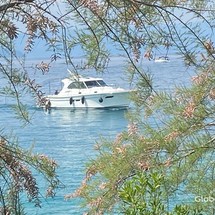 Adriana 36