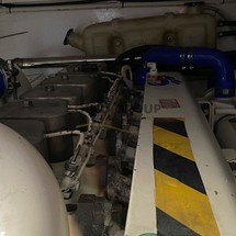 Portofino marine 11 sport fish