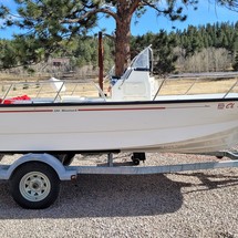 Boston Whaler 190 Montauk