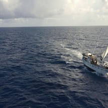 Admiral C Force 50