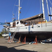 Admiral C Force 50