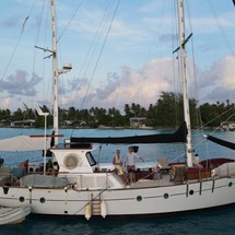 Admiral C Force 50