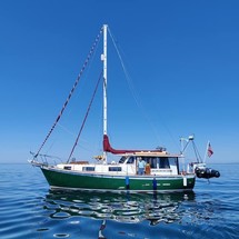 Schucker 436