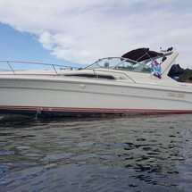 Sea Ray 310 Sundancer