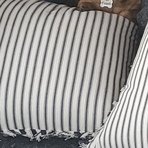 Tollycraft 34 sport sedan