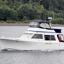 Bluewater yachts 42 coastal cruiser