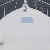 Wellcraft 290 Coastal