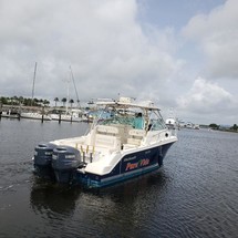 Wellcraft 290 Coastal
