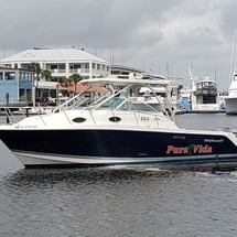 Wellcraft 290 Coastal