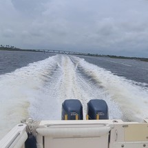 Wellcraft 290 Coastal