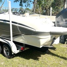 Stingray 234 LR