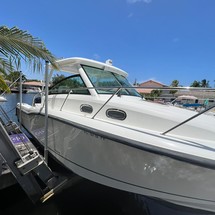 Boston Whaler 315 Conquest