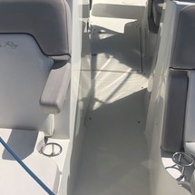 Sea Ray 300 Sundeck