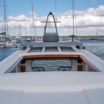 Sargo 31