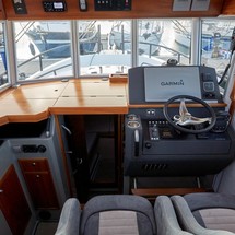 Sargo 31