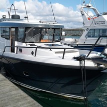 Sargo 31