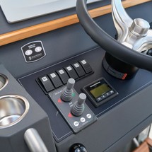 Sargo 31