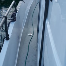 Sargo 31