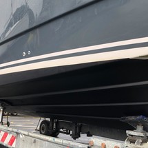 Sargo 31