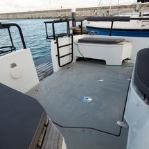 Sargo 31