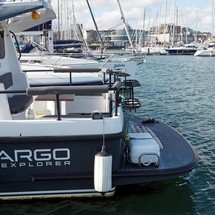 Sargo 31