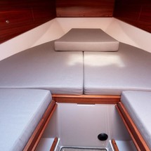 Sargo 31