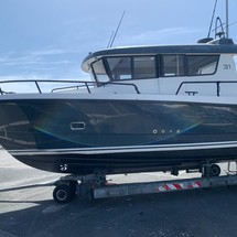 Sargo 31