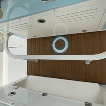 Cobia 217 center console
