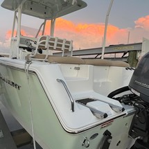 Sea Ray hunt ultra 211