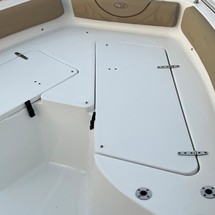 Sea Ray hunt ultra 211