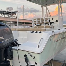 Sea Ray hunt ultra 211