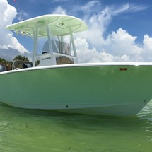 Sea Ray hunt ultra 211