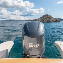 Bsc 85 ocean