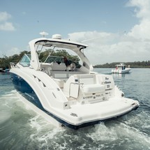 Chaparral 330 Signature