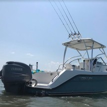 Century 2300 Walk-Around