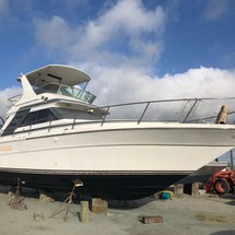 Sea ray 340 sport fish